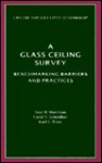 A Glass Ceiling Survey: Benchmarking Barriers and Practices - Ann M. Morrison