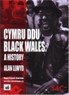 Cymru Ddu: Hanes Pobl Dduon Cymru = Black Wales: A History Of Black Welsh People - Alan Llwyd, Glenn Jordan