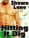 Hitting It Big - Shawn Lane