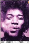 Jimi Hendrix: Electric Gypsy - Harry Shapiro, Caesar Glebbeek