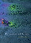 The Luminous and the Grey - David Batchelor