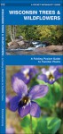 Wisconsin Trees & Wildflowers: A Folding Pocket Guide to Familiar Species - James Kavanagh