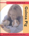 Looking After Your Guinea Pig - Helen Piers