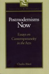 Postmodernisms Now: Essays On Contemporaneity In The Arts - Charles Altieri