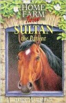 Sultan the Patient - Jenny Oldfield