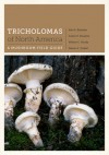 Tricholomas of North America: A Mushroom Field Guide - Alan E. Bessette, Arleen Rainis Bessette, William C. Roody, Steven A. Trudell