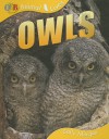 Owls - Sally Morgan