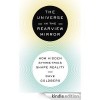 The Universe in the Rearview Mirror: How Hidden Symmetries Shape Reality - Dave Goldberg