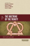 Two Views on the Doctrine of the Trinity (Counterpoints: Bible and Theology) - Jason S. Sexton, Stephen R. Holmes, Paul D. Molnar, Thomas H. McCall, Paul Fiddes