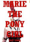 Marie the Pony Girl: A BDSM Erotica Story - Jael Long