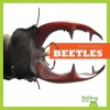 Beetles - Mari C. Schuh