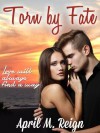 Torn by Fate (A Contemporary Romance with a Paranormal Twist) - April M. Reign