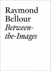 Raymond Bellour: Between-the-Images (Documents (JRP/Ringier)) - Raymond Bellour, Lionel Bovier