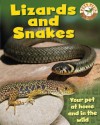 Pets Plus: Lizards and Snakes - Sally Morgan