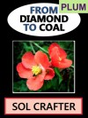 From Diamond to Coal 01 (From Diamond to Coal, #1) - Sol Crafter, Harper Kingsley