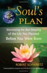 Your Soul's Plan: Discovering the Real Meaning of the Life You Planned Before You Were Born - Robert Schwartz
