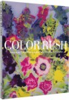 Color Rush: American Color Photography from Stieglitz to Sherman - Katherine A. Bussard, Lisa Hostetler