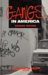 Gangs In America - C. Ronald Huff