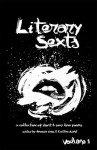 Literary Sexts: A Collection of Short & Sexy Love Poems - Amanda Oaks, Caitlyn Siehl