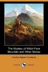 The Mystery of Witch-Face Mountain and Other Stories - Charles Egbert Craddock