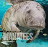 Face to Face with Manatees - Brian Skerry