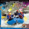 Running the Rapids: White-Water Rafting, Canoeing, and Kayaking - Jeff C. Young