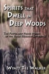 Spirits That Dwell in Deep Woods: The Prayer and Praise Hymns of the Black Religious Experience - Wyatt Tee Walker