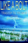 Like a Bolt: Tragedy to Triumph After Stroke - Mary Morgan