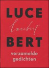 Verzamelde gedichten - Lucebert