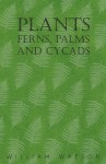 Plants - Ferns, Palms and Cycads - William Watson