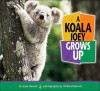 A Koala Joey Grows Up - Joan Hewett