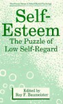 Self Esteem: The Puzzle Of Low Self Regard - Roy F. Baumeister