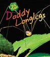 Daddy Longlegs - Catherine Anderson