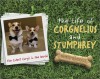 The Life of Corgnelius and Stumphrey: The Cutest Corgis in the World - Susie Brooks