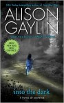 Into the Dark - Alison Gaylin