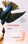 Never-Ending Birds: Poems - David Baker