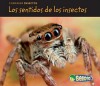 Los Sentidos de los Insectos - Charlotte Guillain