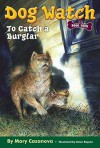 To Catch a Burglar - Mary Casanova