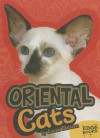 Oriental Cats - Joanne Mattern