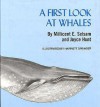 A First Look at Whales - Millicent Ellis Selsam