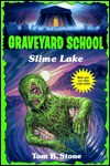 Slime Lake - Tom B. Stone