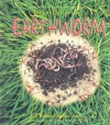 The Life Cycle of an Earthworm (The Life Cycle) - Bobbie Kalman