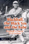 Blackball, the Black Sox, and the Babe: Baseball's Crucial 1920 Season - Robert C. Cottrell