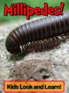 Millipedes! Learn About Millipedes and Enjoy Colorful Pictures - Look and Learn! (50+ Photos of Millipedes) - Becky Wolff