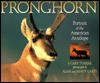 Pronghorn - Gary Turbak