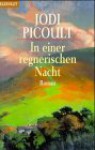 In einer regnerischen Nacht : Roman - Jodi Picoult