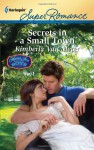 Secrets in a Small Town - Kimberly Van Meter