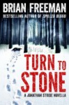 Turn to Stone - Brian Freeman