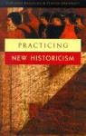 Practicing New Historicism - Catherine Gallagher, Stephen Greenblatt