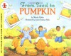 From Seed to Pumpkin - Wendy Pfeffer, James Graham Hale